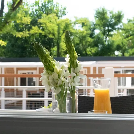 Europa Silvella Tatil parkı 5*